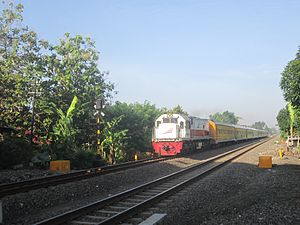 Kereta api Sri Tanjung okomotif CC 201 92 20 saat melintas di jalan layang Janti, 2015