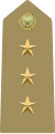 Distintivo per controspallina di capitano dell'Esercito Italiano