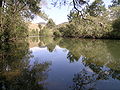 Image 15A pensive Cooplacurripa River, NSW (from River ecosystem)