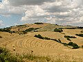 A Landschoft bei Siena