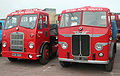 Leyland Trucks