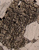 Thin section under plane-polarized light with the high relief mineral clinopyroxene in the center surrounded by the low relief mineral plagioclase feldspar.