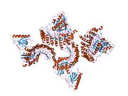 1k5d: Crystal structure of Ran-GPPNHP-RanBP1-RanGAP complex