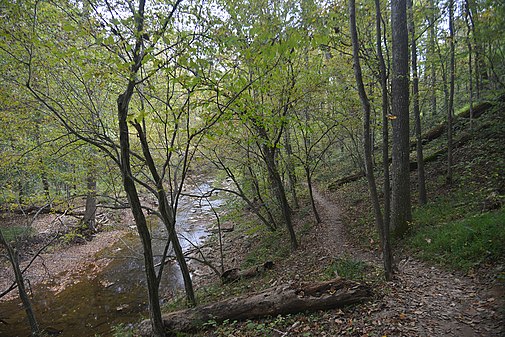 Muddy Branch Stream and Trail, Montgomery County, MD