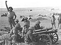 A Negev Brigade artillery unit