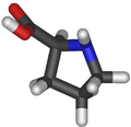 Prolina (Pro / P)