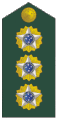 Brasil (coronel)