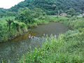 A natural pond in Rio Grande da Serra