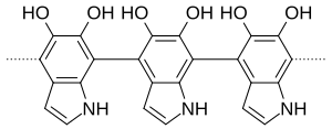 Polymelanin