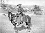 Cowboy i Stetsonhatt från 1887.