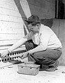 Un trabajador del Civilian Public Service de EE.UU. distribuye veneno para ratas para controlar el tifus en Gulfport, Mississippi, alrededor de 1945.