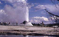 Geyser of water and steam erupting from an ashen cone.