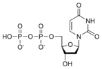 Kemijska zgradba deoksiuridin-difosfata