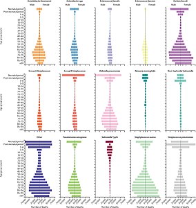 Global number of deaths, by pathogen, age, and sex groups, 2019[3]