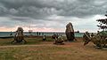 "Fish cemetery" by the Central Marine Fisheries Research Institute