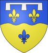 Insigno de Loir-et-Cher