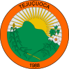 Coat of arms of Tejuçuoca