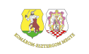 Drapeau de Komárom-Esztergom