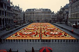 Flower Carpet 2008