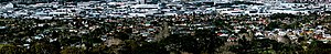 A view of the suburb from Maungakiekie / One Tree Hill