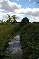 The brook just east of Asheldham.