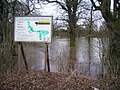 alta nivela akvo en Elbe (Biosphärenreservat Mittelelbe)