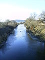 Târnava Mare River bank