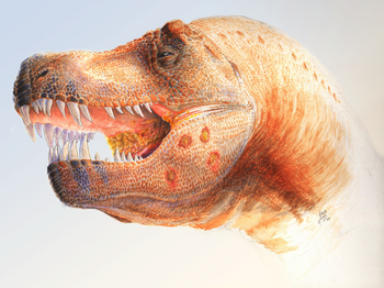 Rekonstrukce tváře Tyrannosaura rexe