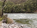 Shallows on the Waiau River