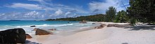 A tropical beach against a sunny sky