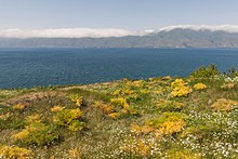 Pohled na jezero