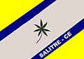 Bandeira de Salitre