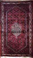 Bidjar rug with Garus pattern