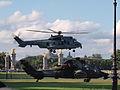 Un Tigre et un Caracal, deux hélicoptères souvent utilisés ensemble lors de missions ResCo.