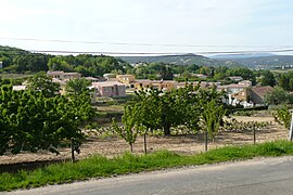 A general view of Saint-Julien-de-Peyrolas