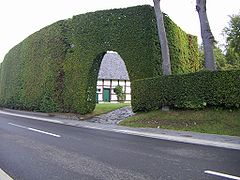 Haie taillée en mur végétal dont la fonction est seulement séparative ; en Allemagne.