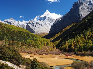 Դաոչենգ Յադինգ