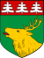 Wappen von Jõhvi