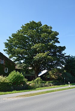 Skyline of Kaisborstel