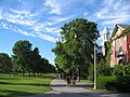 Image 11The University of Maine is the state's only research university. (from Maine)