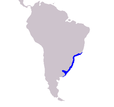 Distribución de Pontoporia blainvillei