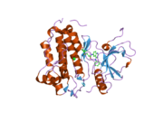 2j5e: CRYSTAL STRUCTURE OF EGFR KINASE DOMAIN IN COMPLEX WITH AN IRREVERSIBLE INHIBITOR 13-JAB