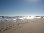 Newcomb Beach