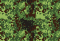 Polish Woodland Flecktarn Gepard