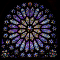 Rose window from the Basilica of St Denis, Paris, showing Jesse at the centre. This is not the earliest St Denis Jesse window, which is vertical like Chartres.