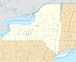 Fort Orange (New Netherland) is located in New York