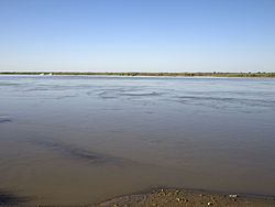 The right bank of Amu Darya in Beruniy District