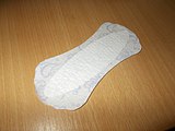 Discreet Pantylinner