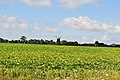 Pakenham tower windmill across the field