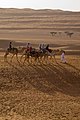 Image 16Tourists riding camels in the Wahiba Sands (from Tourism in Oman)